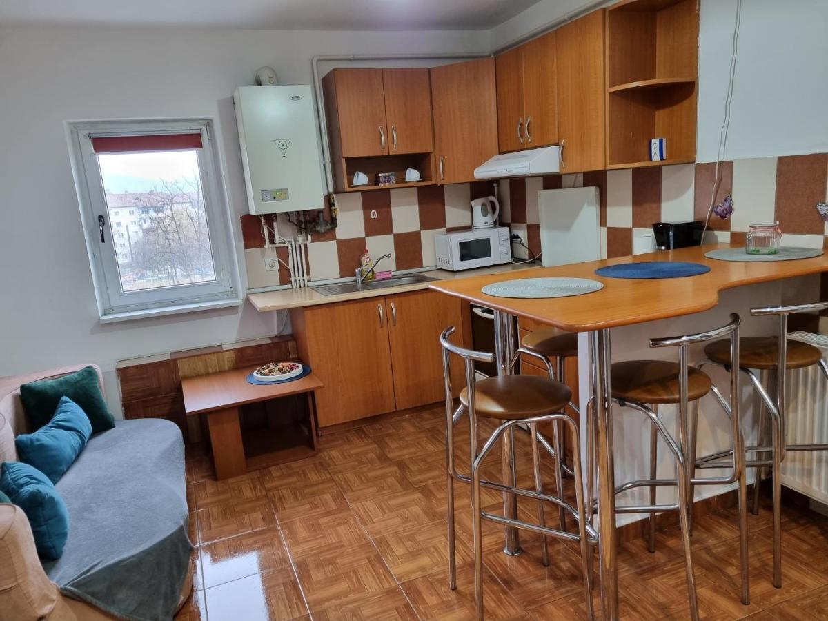 דירות Râmnicu Vâlcea Marya'S מראה חיצוני תמונה